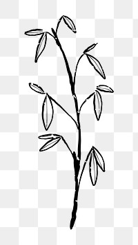 Png leaf branch  doodle illustration, transparent background