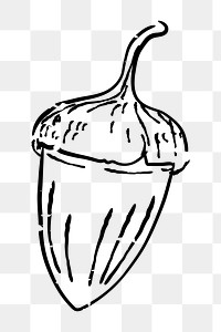 Png simple acorn doodle illustration, transparent background