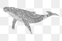 Png whale element, transparent background