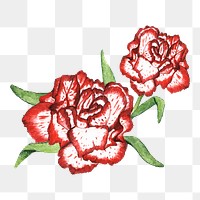  Carnation png watercolor element, transparent background