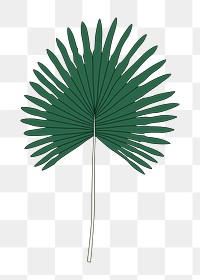 Png fan palm leaf  sticker, transparent background