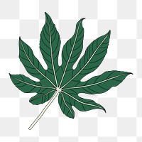 Png green Argali leaf  sticker, transparent background