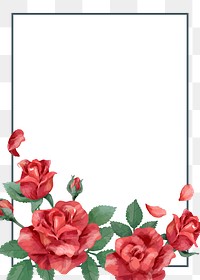 Red rose png frame, transparent background