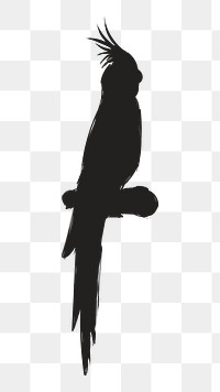 Png black cockatoo silhouette, transparent background