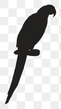 Png black parrot silhouette, transparent background