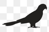 Png parrot silhouette, transparent background