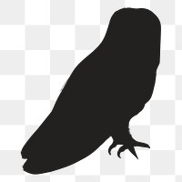 Png black owl silhouette, transparent background