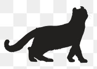 Png black cat silhouette, transparent background