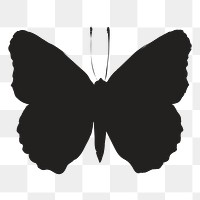 Png butterfly silhouette, transparent background