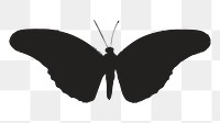 Png butterfly silhouette, transparent background