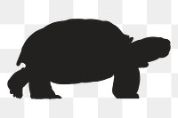 Png black turtle silhouette, transparent background