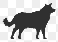 Png border collie dog silhouette, transparent background