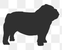 Png english bulldog silhouette, transparent background