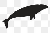 Png gray whale silhouette, transparent background