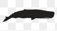 Png sperm whale silhouette, transparent background