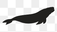 Png beluga whale silhouette, transparent background