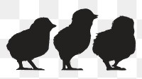 Png baby chicks silhouette, transparent background