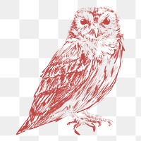  Png red owl design element, transparent background