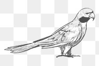  Png parrot design element, transparent background