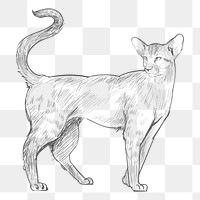  Png walking cat sketch illustration, transparent background