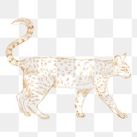  Png yellow bobcat sketch illustration, transparent background