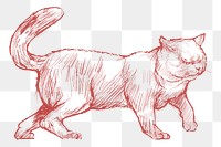  Png angry cat sketch illustration, transparent background