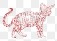  Png cute red kitten sketch illustration, transparent background