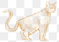  Png yellow cat sketch illustration, transparent background