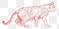  Png striped cat sketch illustration, transparent background