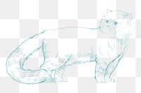  Png cute cat sketch illustration, transparent background