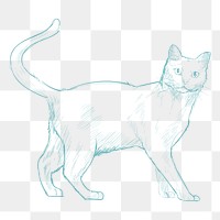  Png cute cat sketch illustration, transparent background