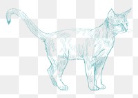  Png cute cat sketch illustration, transparent background