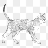  Png cute cat sketch illustration, transparent background