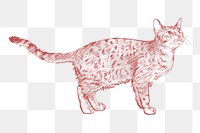  Png cute cat sketch illustration, transparent background