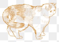  Png cute cat sketch illustration, transparent background
