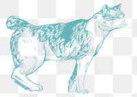  Png cute cat sketch illustration, transparent background