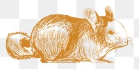  Png yellow rat sketch illustration, transparent background