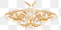  Png butterfly sketch illustration, transparent background