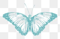  Png butterfly sketch illustration, transparent background