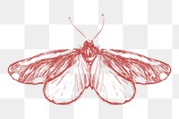  Png butterfly sketch illustration, transparent background