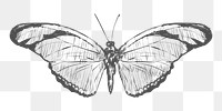  Png butterfly sketch illustration, transparent background