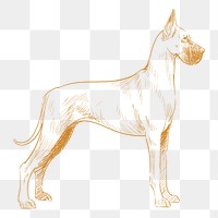  Png great dane dog sketch illustration, transparent background