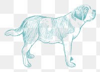  Png saint bernard dog sketch illustration, transparent background