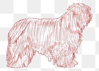  Png furry dog sketch illustration, transparent background