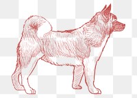  Png akita dog sketch illustration, transparent background