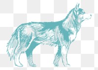  Png siberian husky dog sketch illustration, transparent background