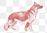  Png german shepherd dog sketch illustration, transparent background