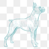  Png dog sketch illustration, transparent background