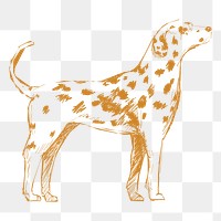  Png dalmatian dog sketch illustration, transparent background