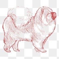  Png chow chow dog sketch illustration, transparent background